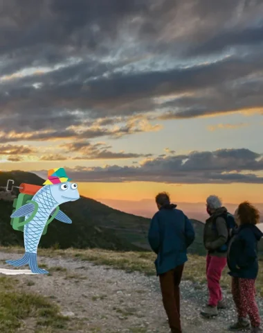 La Tarente de Maurétanie