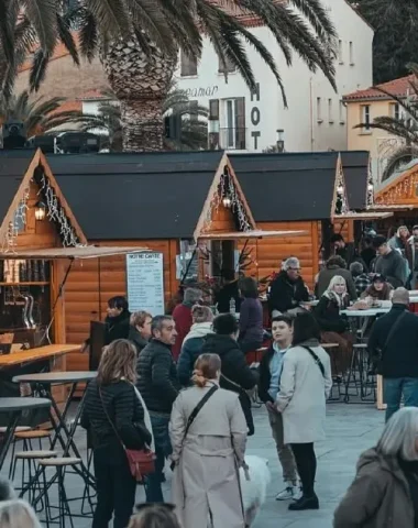 Collioure en hiver « La contemplative »