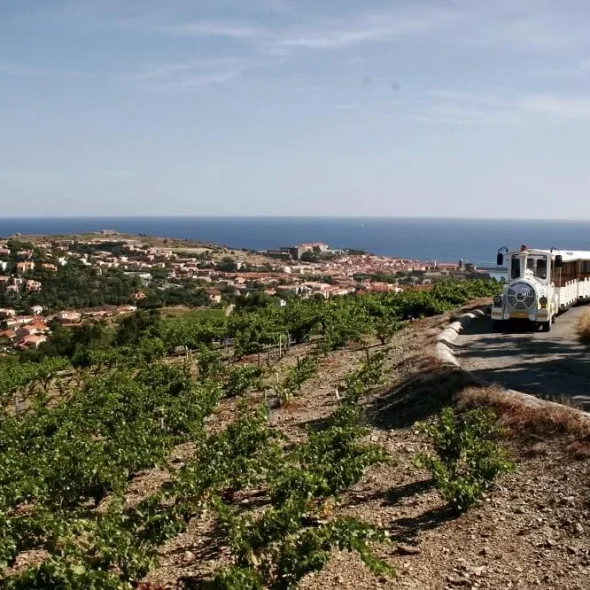 petit-train-collioure