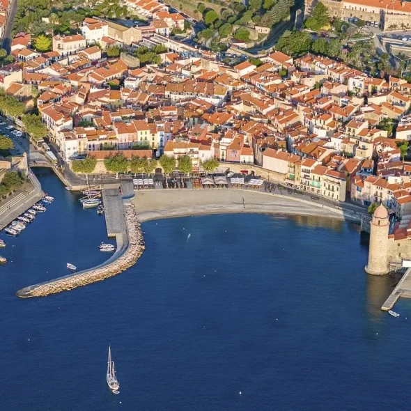 topito-2-telechargez-l-application-collioure