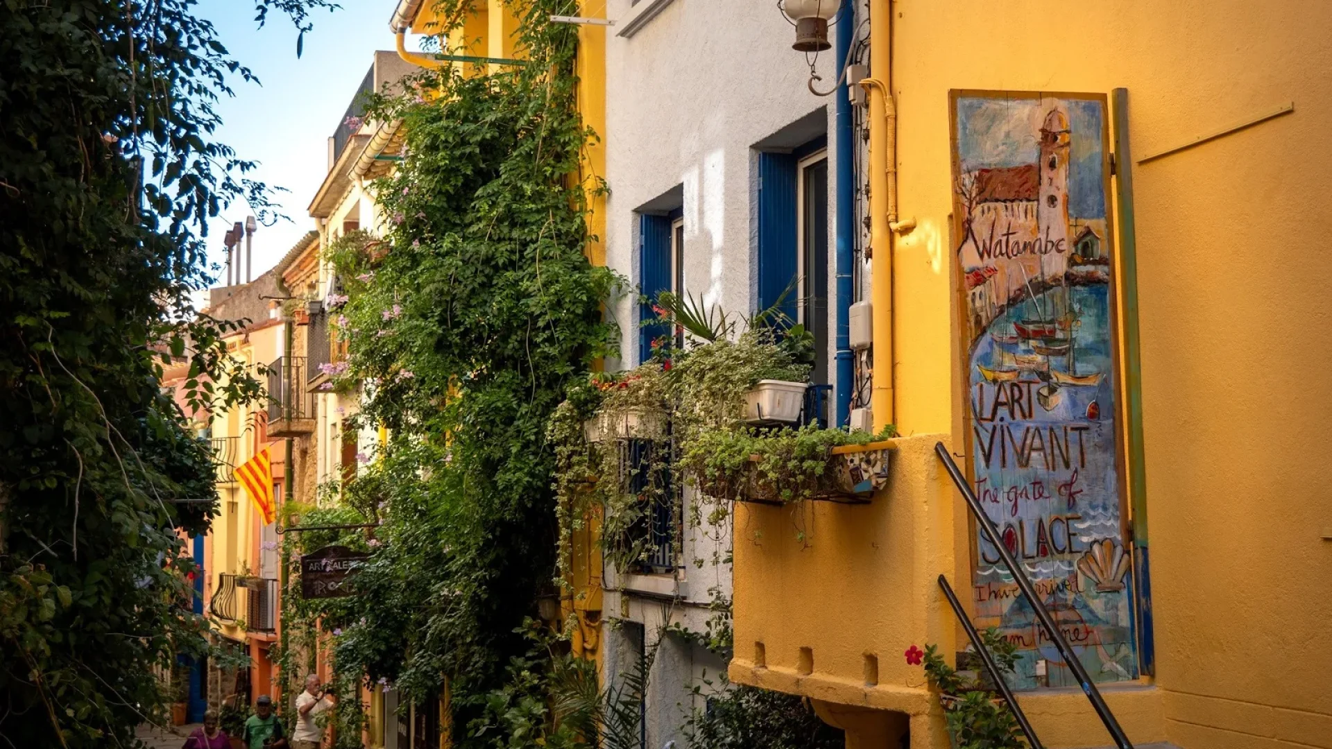 collioure-au-printemps-la-coloree-collioure