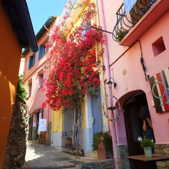 10 bonnes raisons de venir à Collioure