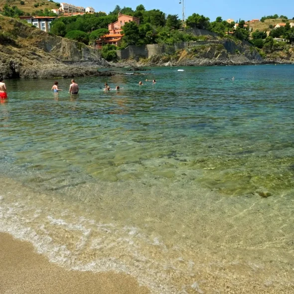 10 bonnes raisons de venir à Collioure