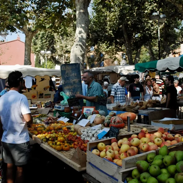 10 bonnes raisons de venir à Collioure
